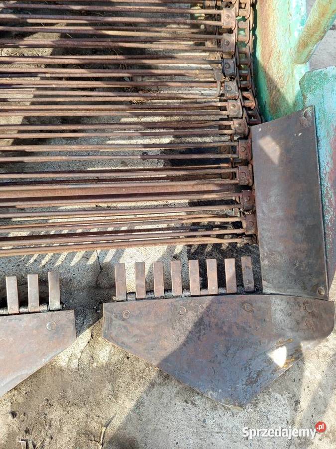 Kopaczka elewatorowa do ziemniaków chrzanu łódzkie Szynkielów