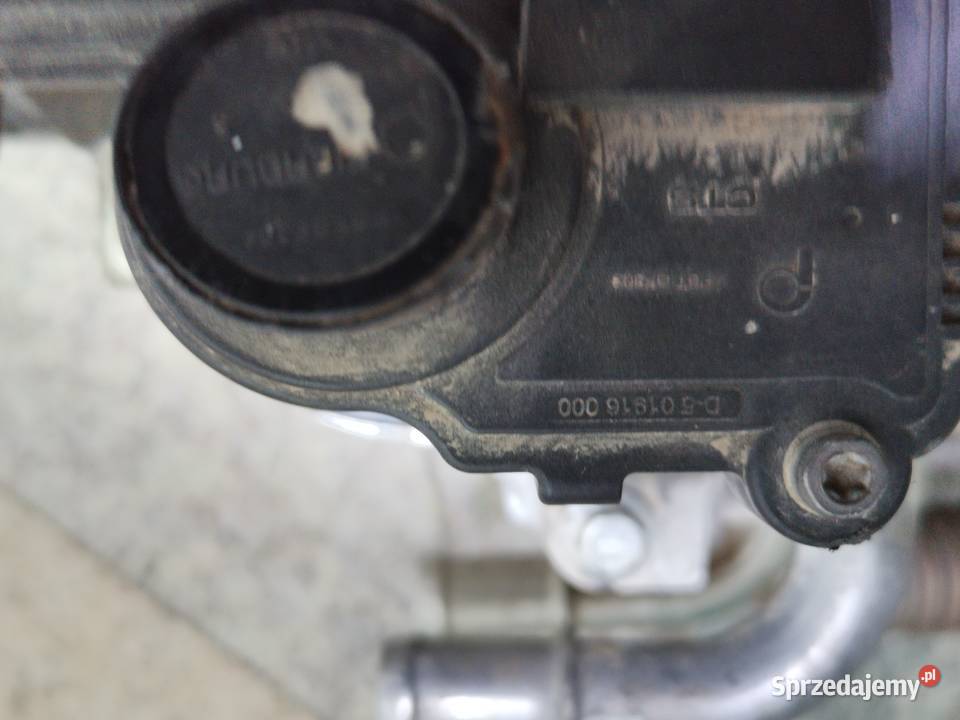 EGR Renault kango dostawcze Białystok