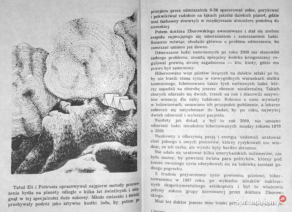 Synteza Maciej Wojtyszko Chełm