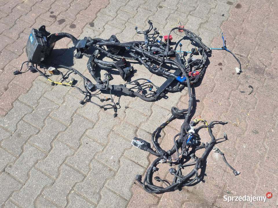 WIĄZKA INSTALACJA KOMORY SILNIKA KIA XCEED 15 osobowe