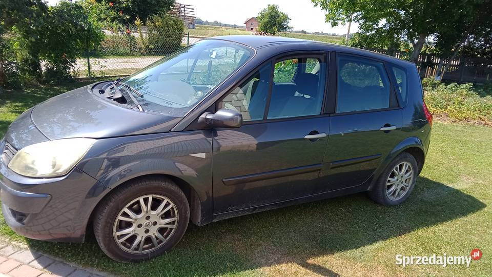 Renault Scenic Scenic Leżajsk