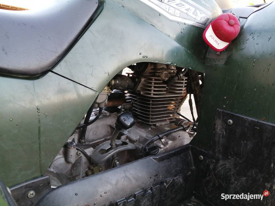 Quad Yamaha Grizzly 125ccm Nowy Sącz