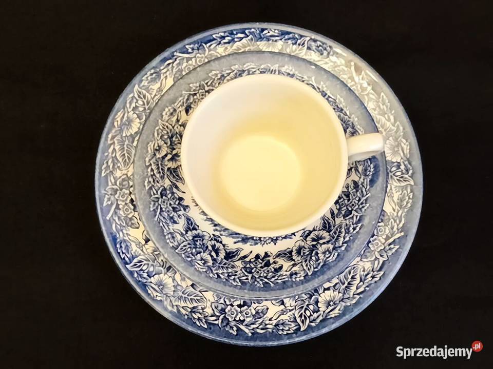 Porcelana angielska Ironstone lubelskie Chełm