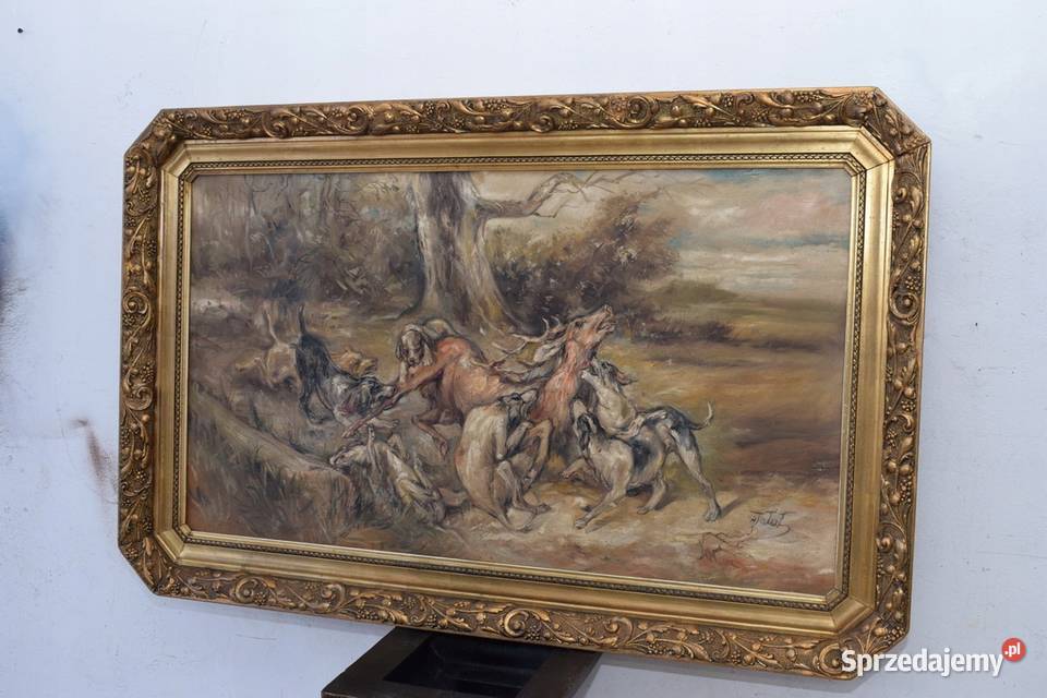 J Fałat Atak Psów na Jelenia Łoś Jeleń Natura Kraków sprzedam
