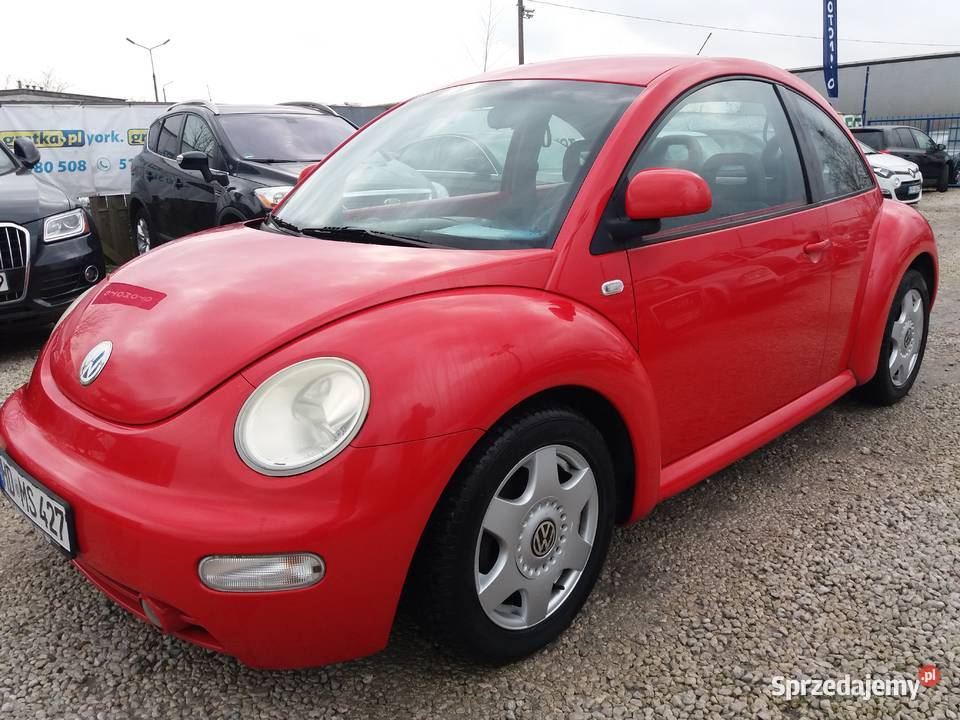 Volkswagen betle kujawsko-pomorskie Toruń