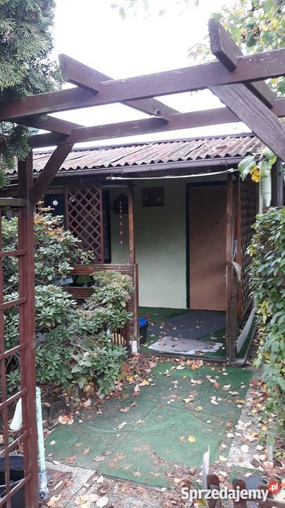 działka pracownicza ROD łódzkie Łódź