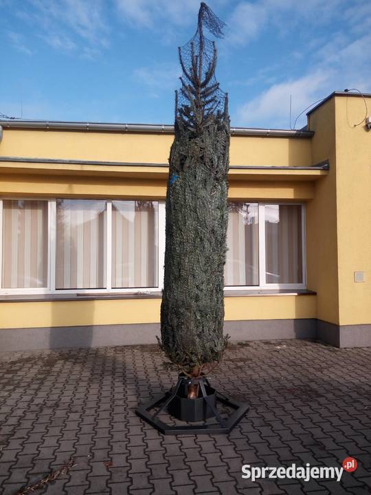 stojak choinkowy stojak pod chinkę na choinkę Damasławek
