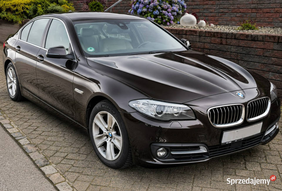 BMW 520 F10 20092017 automatyczna Sadlno sprzedam
