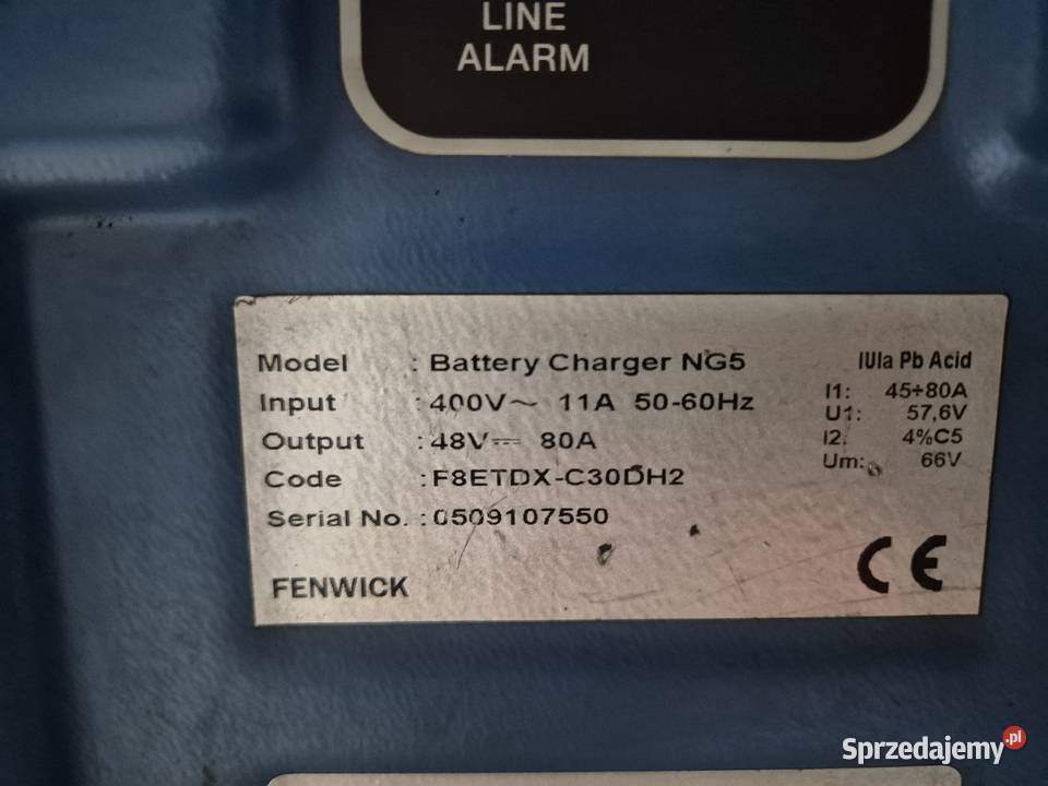 Prostownik Ładowarka baterii trakcyjnych Linde Sobienie-Jeziory