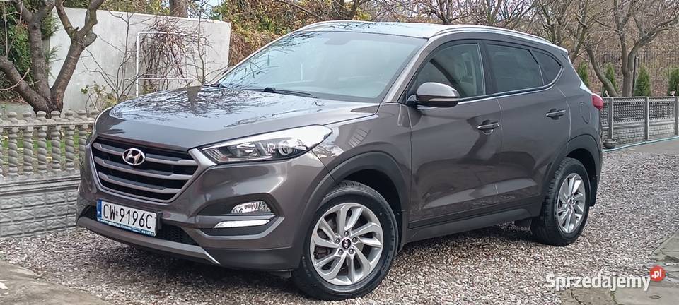 20 136 Pierwszy WłaścicielSalon Polska GRZANA SUV Włocławek