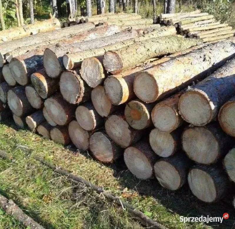 Sosna drewno do kominka opał Zalesie Górne
