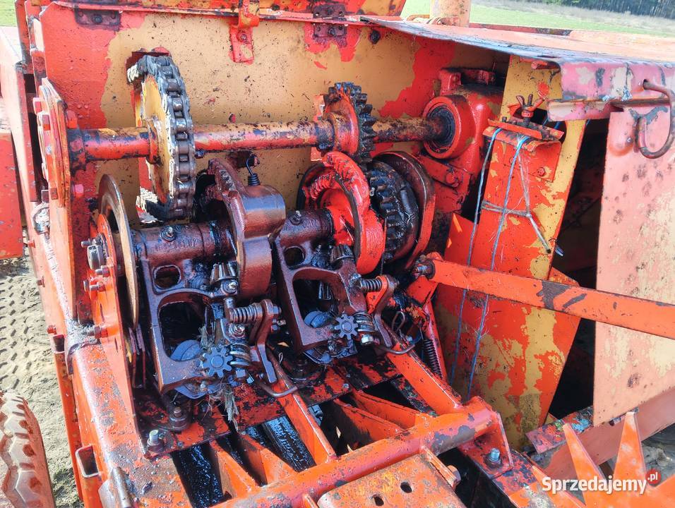 Prasa Kostkujaca sipma Grajewo