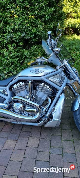HarleyDavidson VRSCA V ROD łódzkie Andrespol