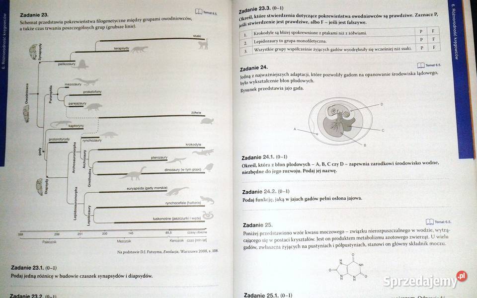 Biologia na czasie 2 Maturalne karty pracy D miękka