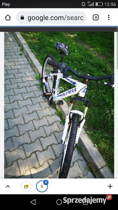 Rower Górski Alpina Eco Wałbrzych