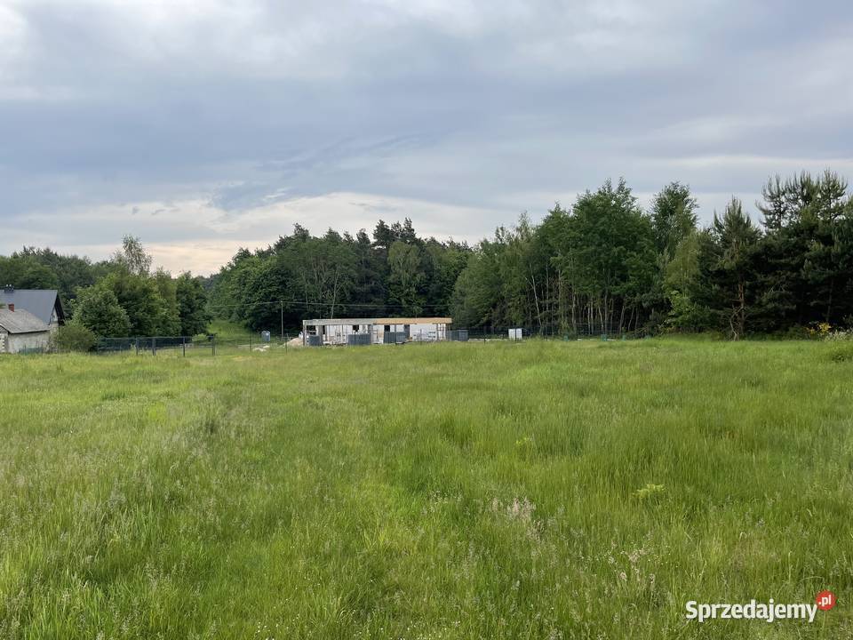 Dom na działce 96 arów mekintosz 10 Słotwiny