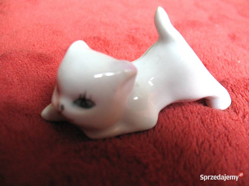 Kot biały młody kotek porcelana 4 x 6 x 25 mazowieckie Siedlce