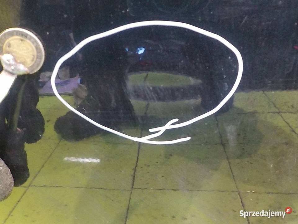 FORD FORD FOCUS MK3 11r HB 5D drzwi prawe przod osobowe Suków