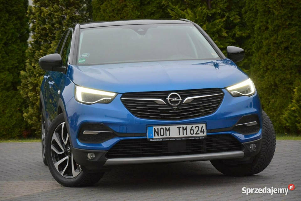 Opel Grandland X Panorama Denon Full Led Skóry Grandland X Ostrów Mazowiecka