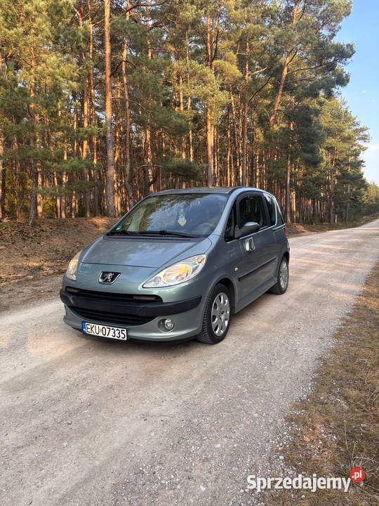 Peugeot 1007 2006 Gostynin