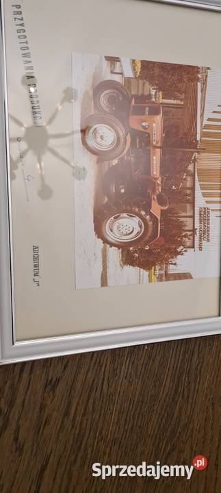 URSUS URSUS URSUS zdęcie w ramce