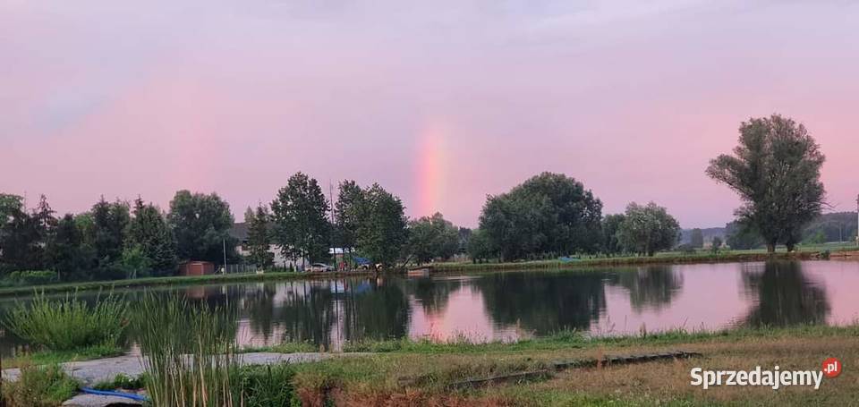 lowisko wędkarskie domki letniskowe organizacja Goryń