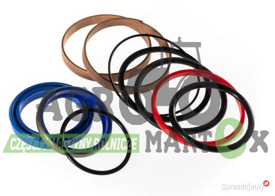 99100160 99100160P ZESTAW NAPRAWCZY SIŁOWNIKA dolnośląskie Wichrów