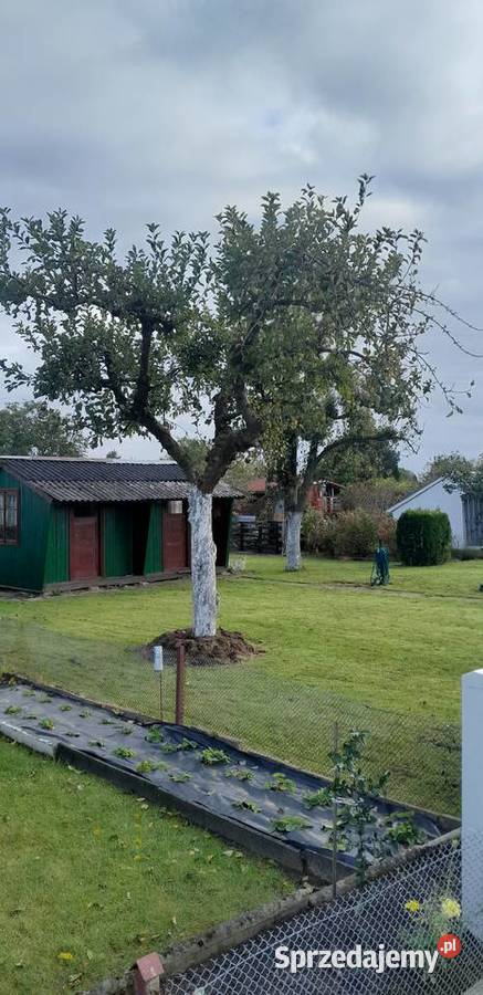 Działka ogrodowa ROD Koszalin