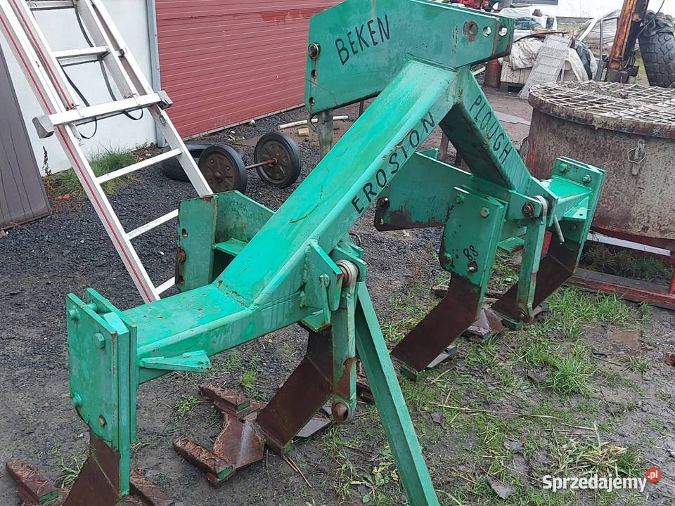 Głębosz Pozostałe Piotrków Trybunalski