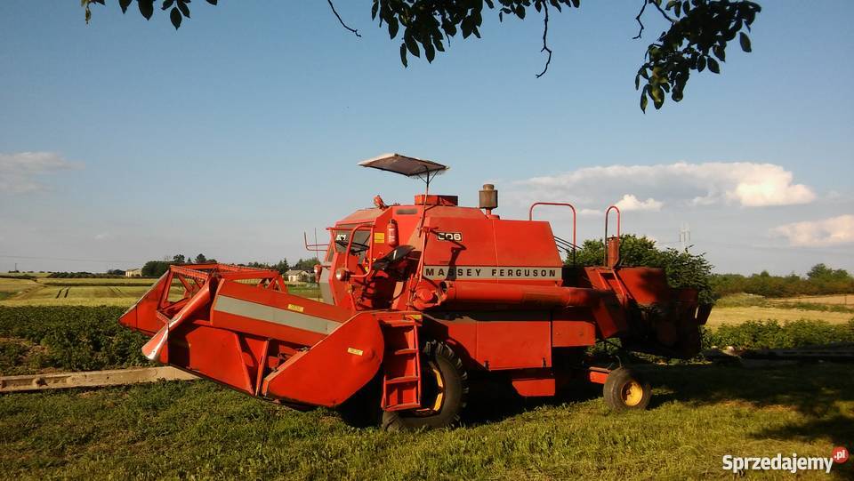 Massey Ferguson 506 sprzedam