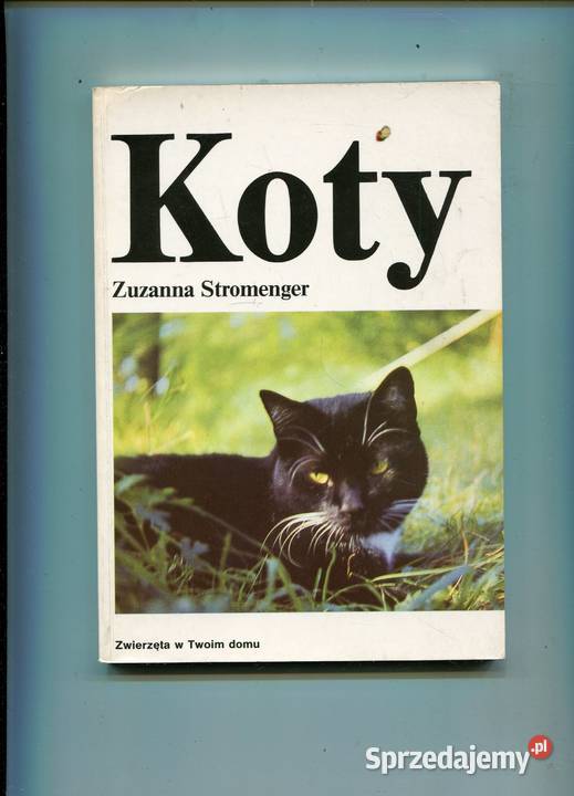 Koty Zuzanna Stromenger Szczecin