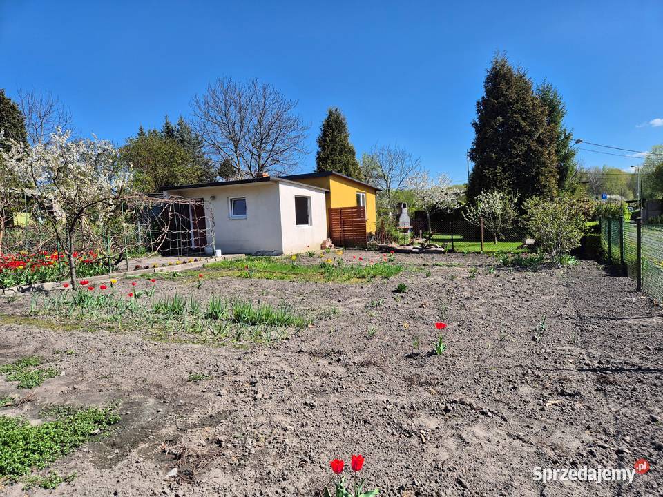 Działka ROD Chorzów Niedżwiedziniec