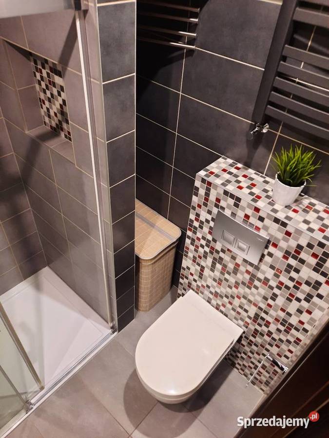 3 pokojowe mieszkanie na parterze Włocławek