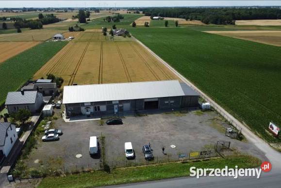 Syndyk KRJ FOOD sp z oo sprzeda nieruchomość w Syndyk sprzeda Poznań