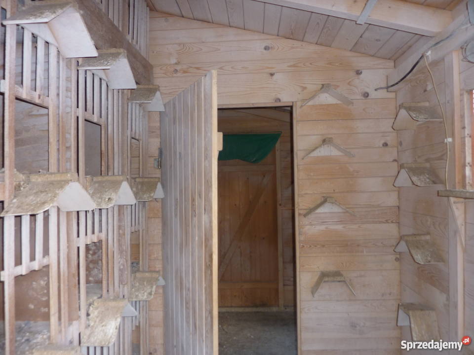Gołębnik do sprzedania Pszczyna