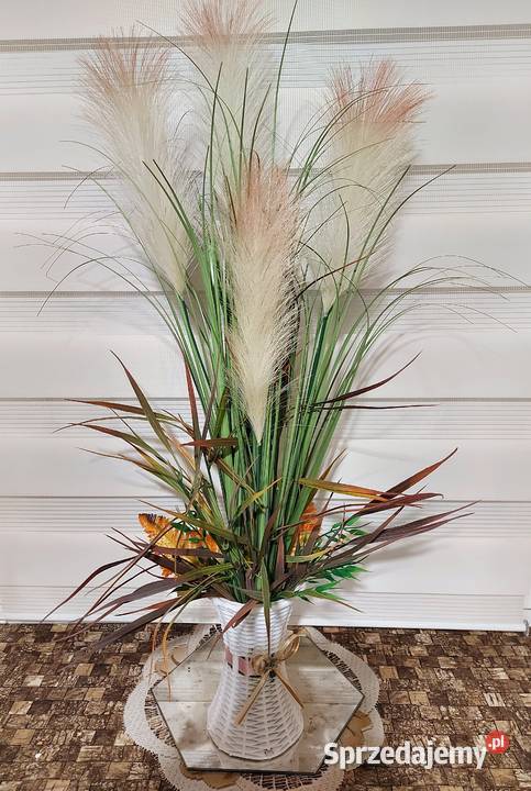 Trawa pampasowa Promocja