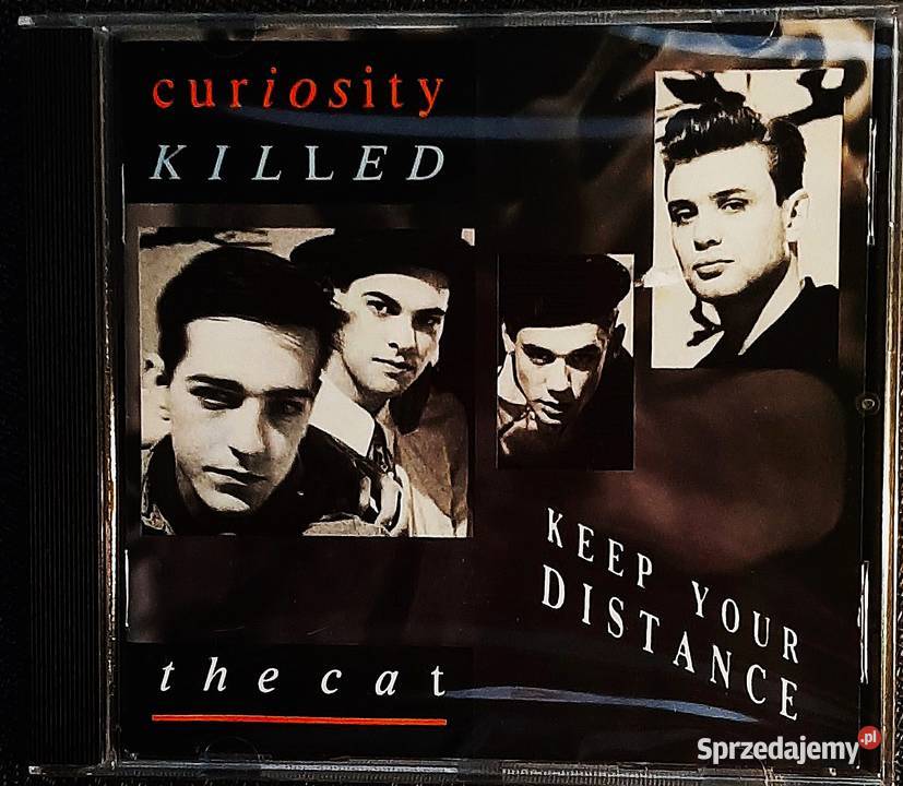 Album CD CRASH Test DUMMES Album God Shuffled Warszawa sprzedam