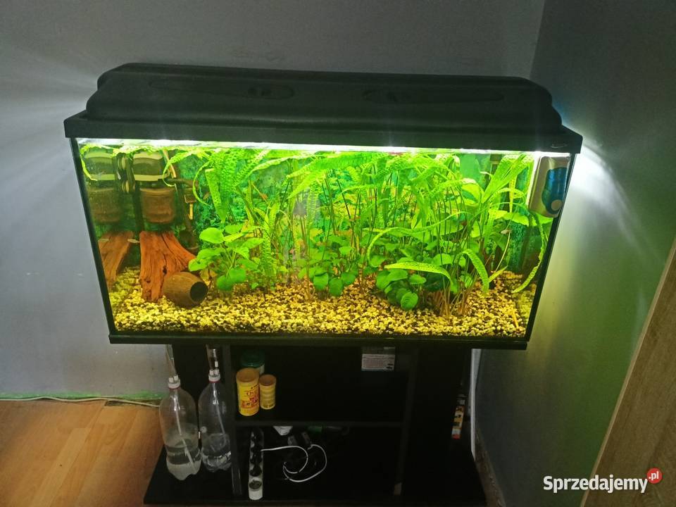 akwarium kompletne
