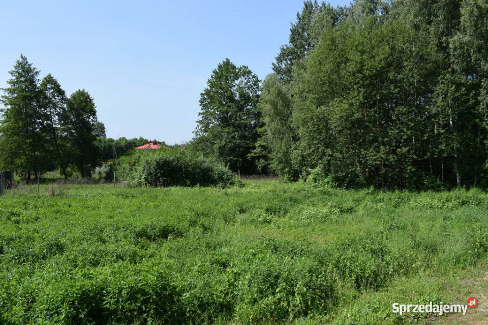 Działka budowlana 68a Jasionka budowlana Nieruchomości