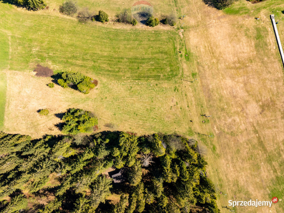 DZIAŁKA Z POTENCJAŁEM MAŁE CICHE małopolskie Małe Ciche