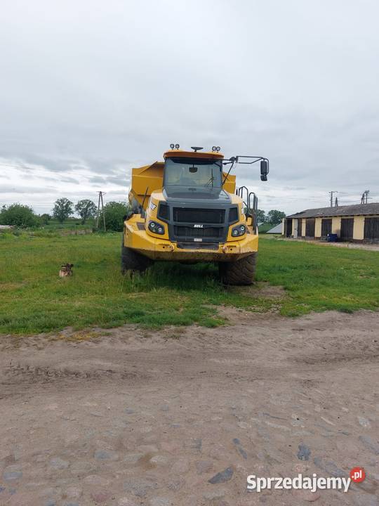 Bell B50 Rok produkcji 2019 pomorskie Tczew