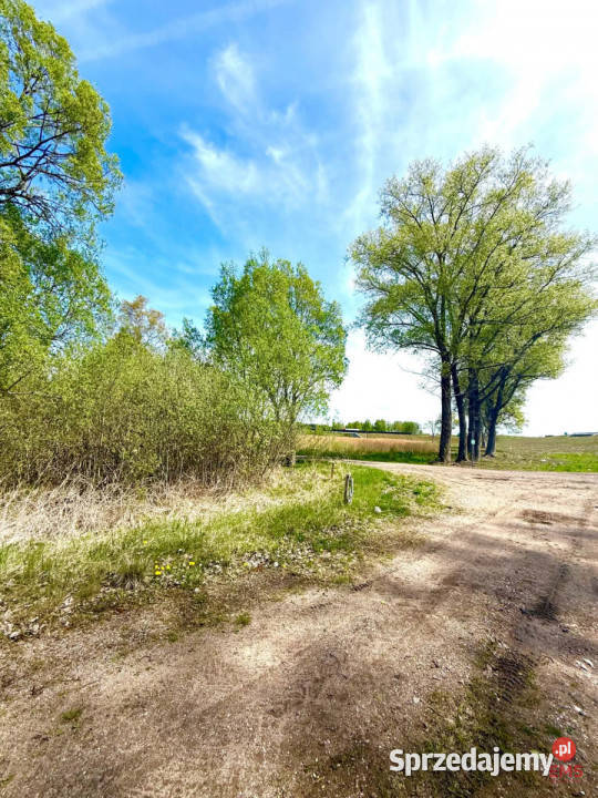 sprzedaży gruntu Bród Nowy 30000m2 13zł/m2