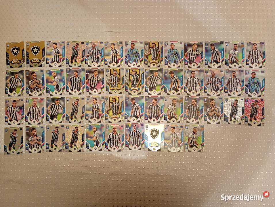 Karty piłkarskie kolekcjonerskie Panini FIFA 365 Puszczykowo sprzedam