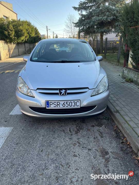 PEUGEOT 307 16 benzyna 2003 wspomaganie srebrny Zgierz