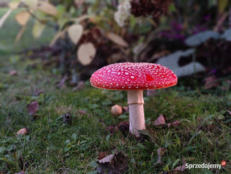 Smartfon OnePlus 10 Pro 12256GB Snapdragon 8 podkarpackie Haczów