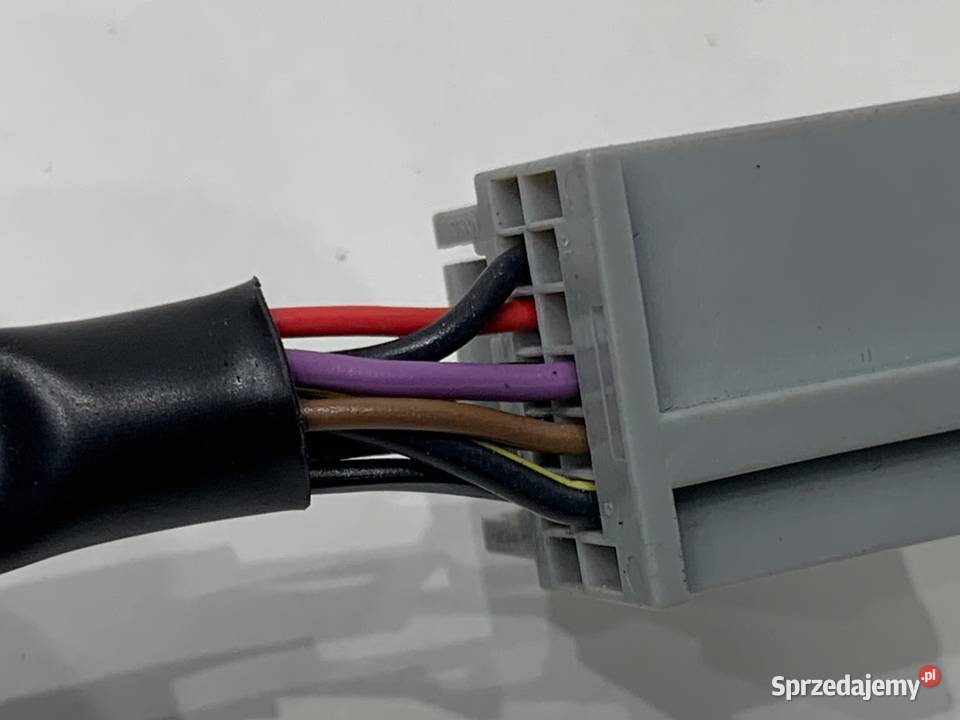 LUSTERKO LEWY FORD C II Minivan 1019 Midnight