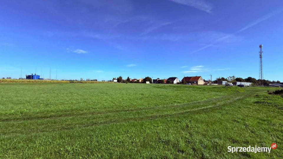 MIŁOSŁAW DK15 GOTOWY GRUNT POD INWESTYCJĘ