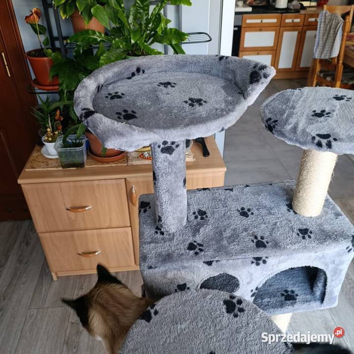 drapak kota mega sprzedam Poznań sprzedam