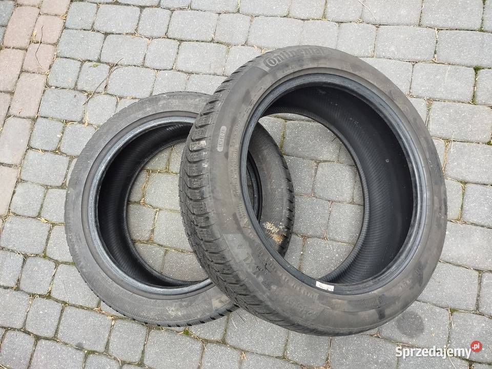 2155017 Continental Zima 50 kujawsko-pomorskie Gniewkowo