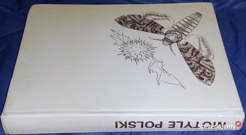 Motyle Polski Jerzy Heintze